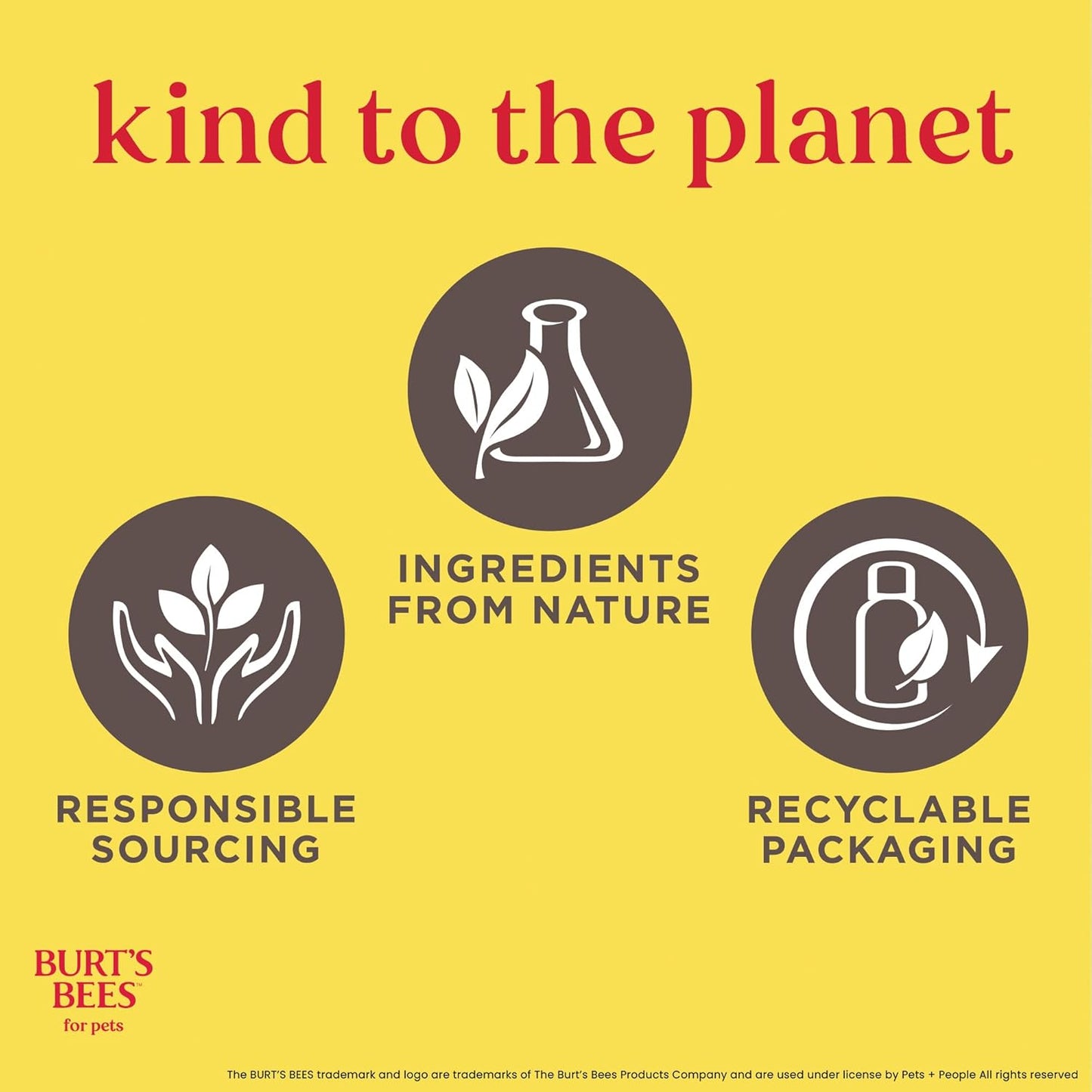 HaloSilk Wash + Cream image 11