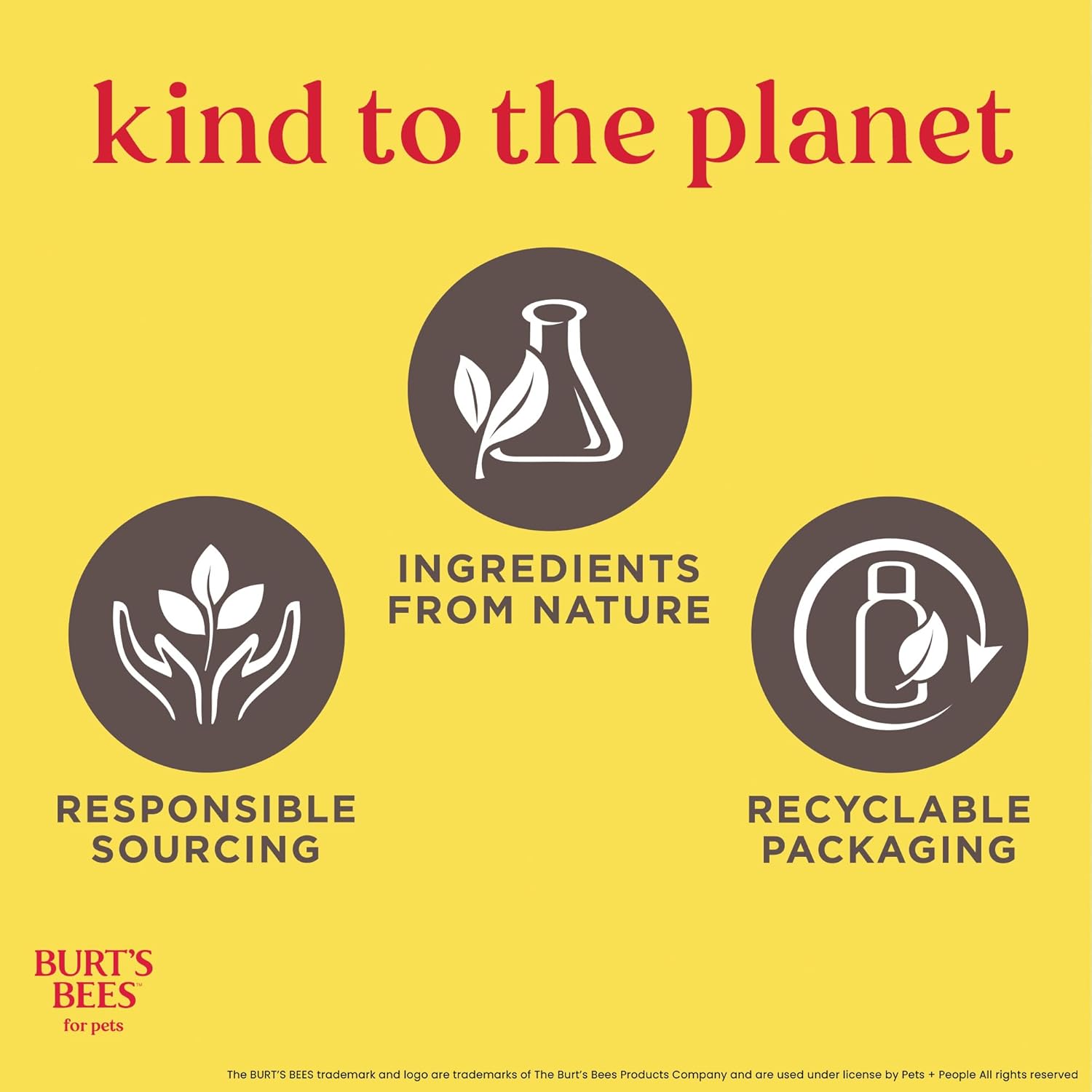 HaloSilk Wash + Cream image 11