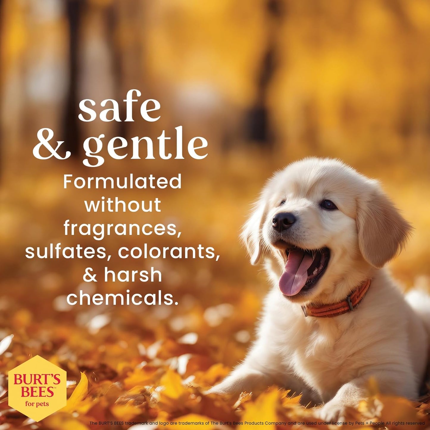 HaloSilk Wash + Cream image 8