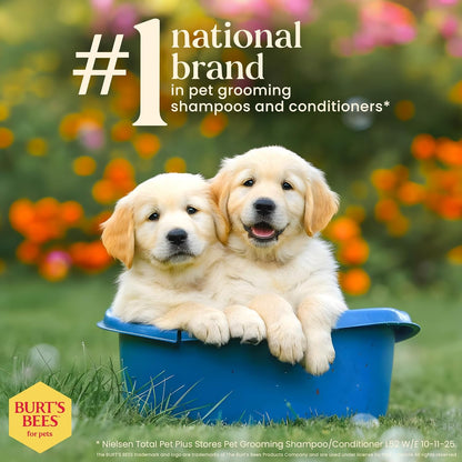 HaloSilk Wash + Cream image 10