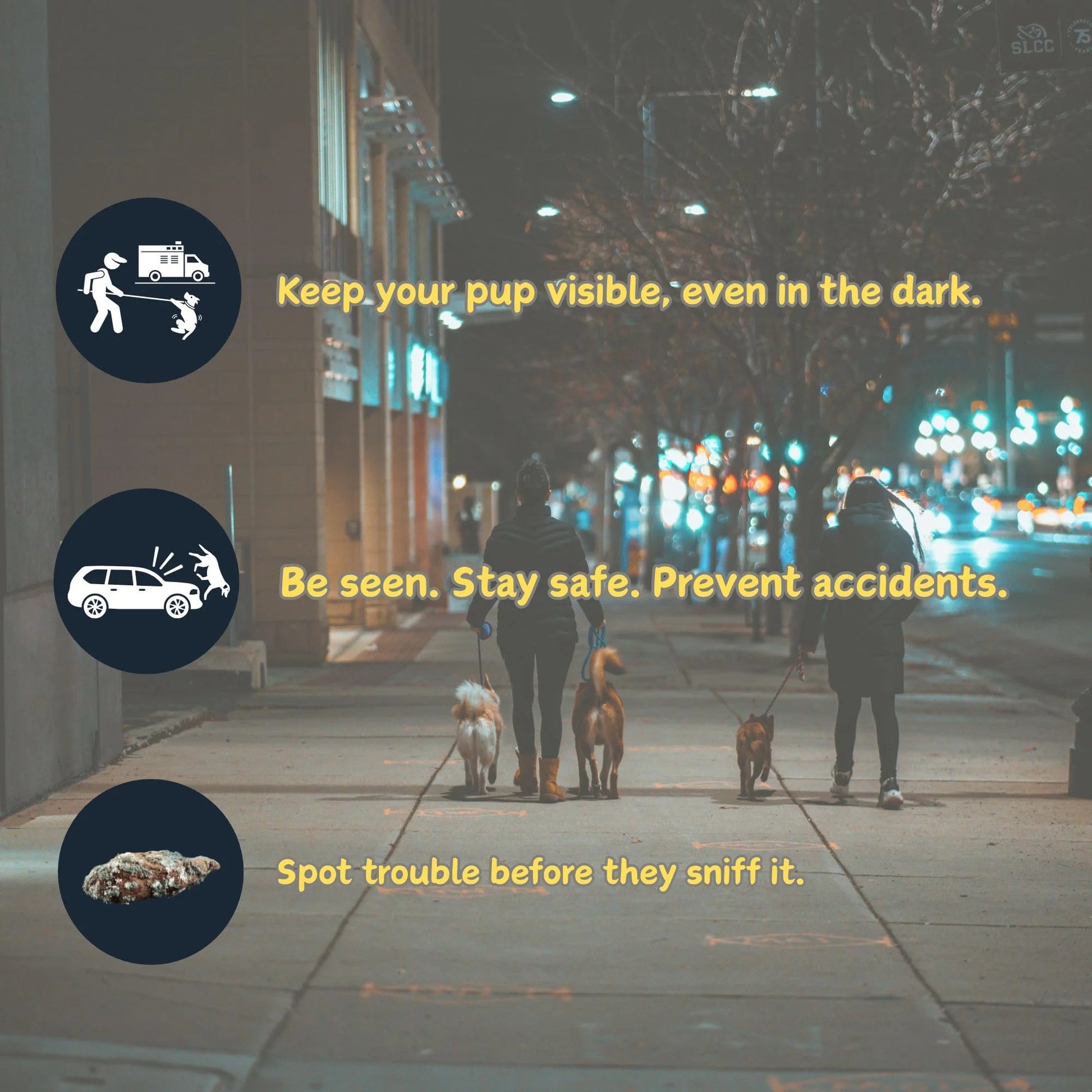 LumaTrail Leash Pro image 7