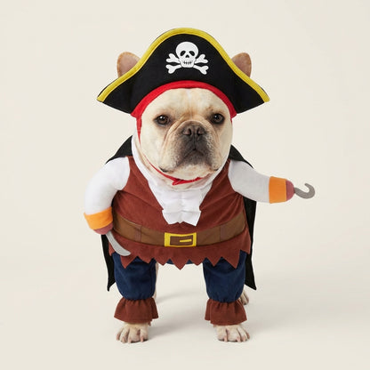 Buccaneer Muse Costume image 1